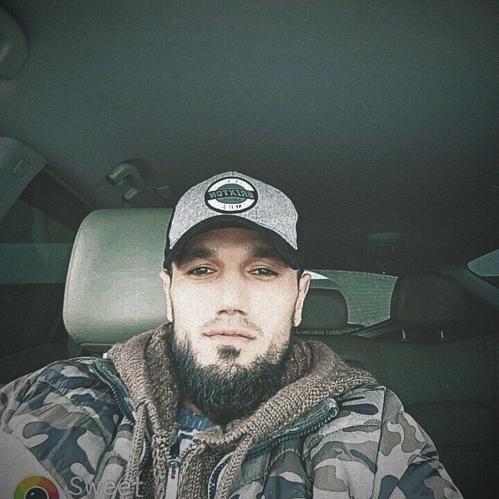  49175954  , 38 ,    