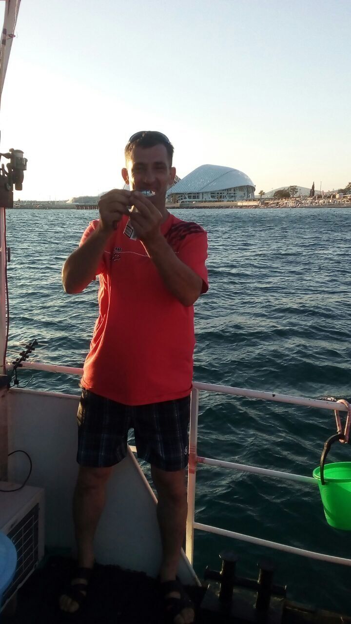  31750144  , 43 ,    