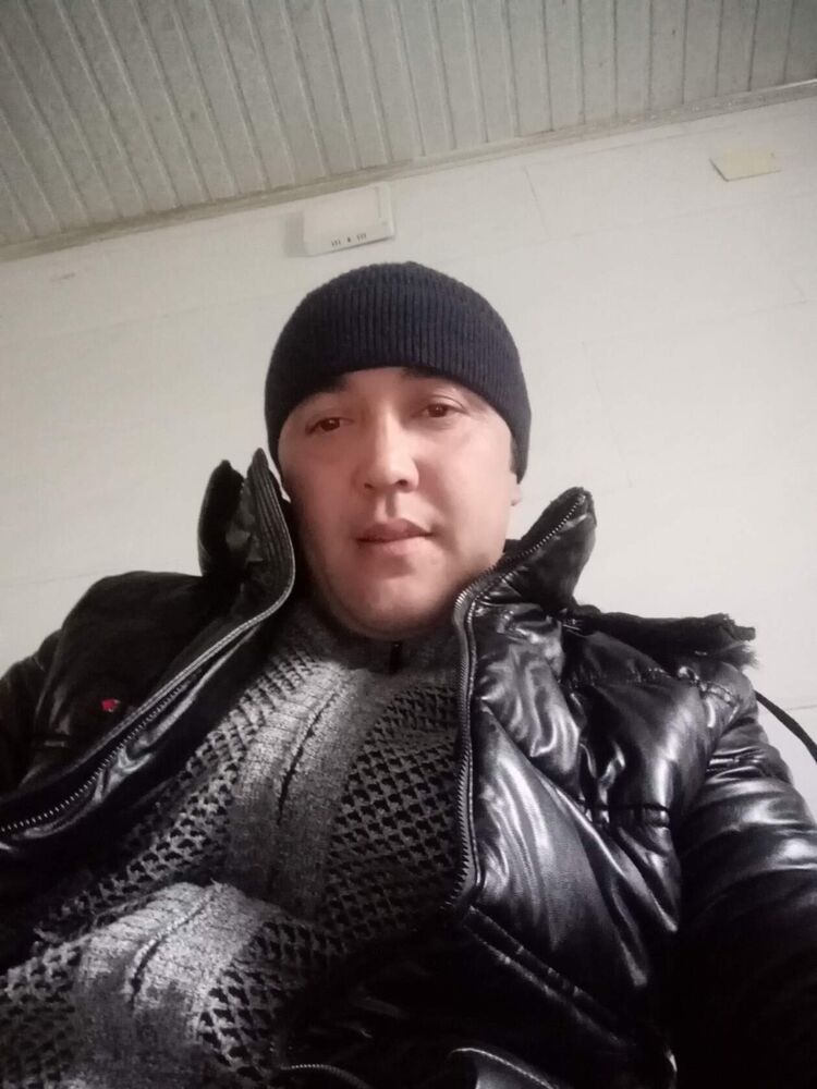  33366494  , 37 ,    