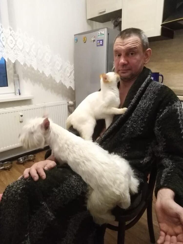 ���������� ������-��-����, ���� ������� ��������, 50 ���, ������������ ��� ������, ����� � ���������, c�������� ���������