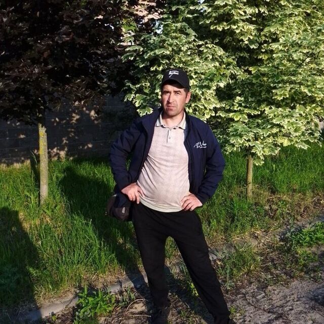  ,    , 43 ,   ,   