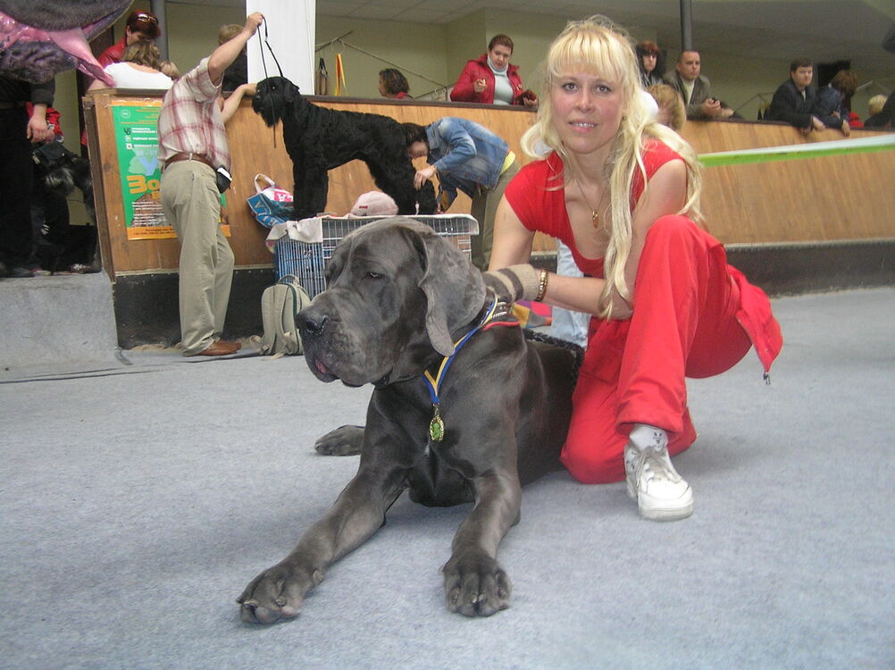 ���������� ����, ���� ������� Nana, 56 ���, ������������ 