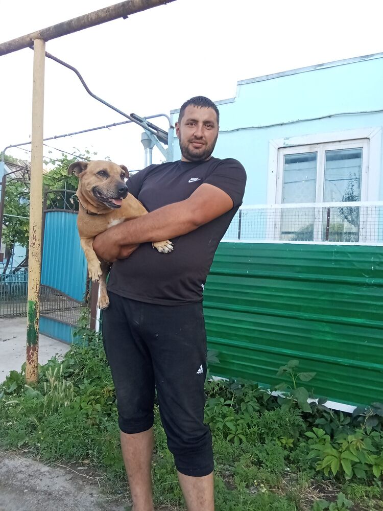 ���� 44114114 ������� �������, 32 ����, ���� ���������� � �����������