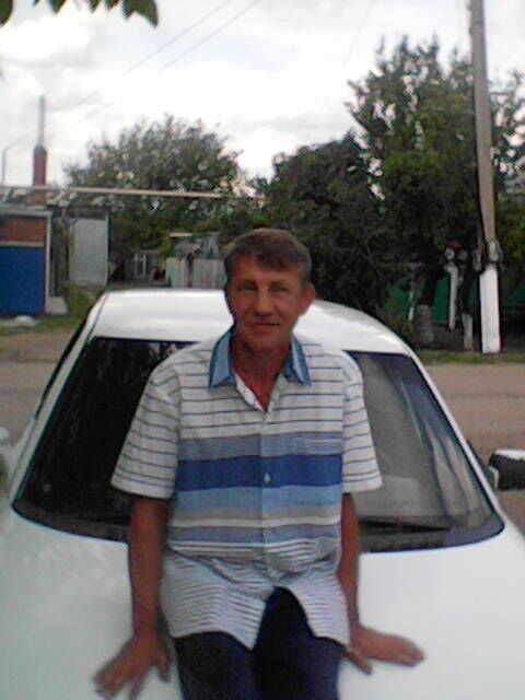  31568924  , 56 ,    