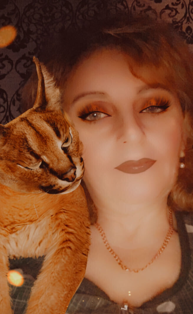 ���������� ���������, ���� ������� ����, 49 ���, ������������ ��� ������, ����� � ���������