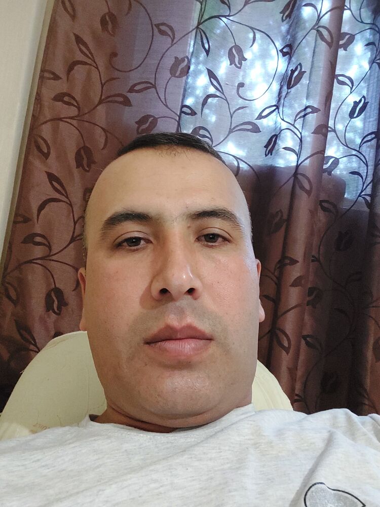  53029044  , 33 ,    