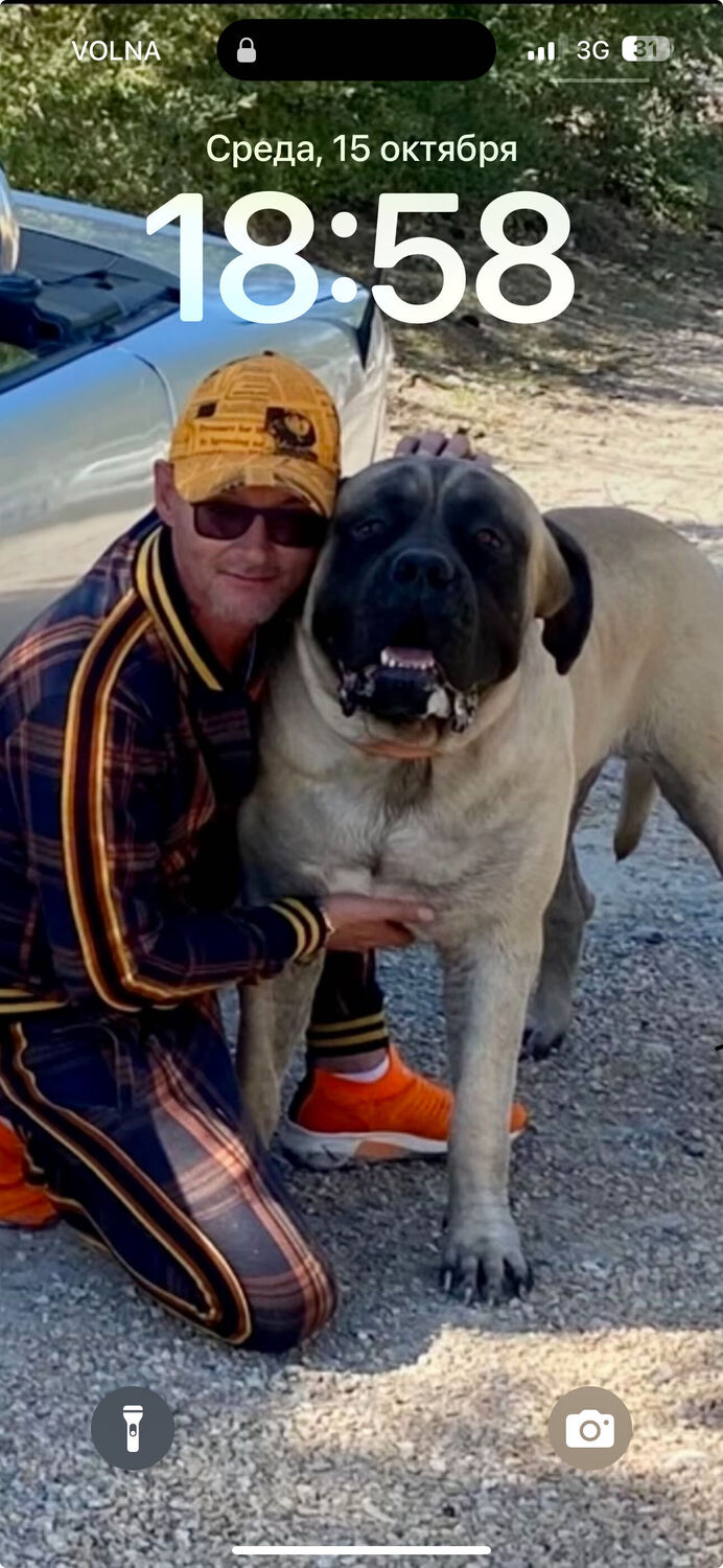 ���� 55077284 ������� ����, 48 ���, ���� ���������� � ����������