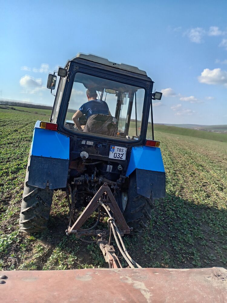 ���� 56173774 ������� Vania Grekov, 39 ���, ���� ���������� � ���������