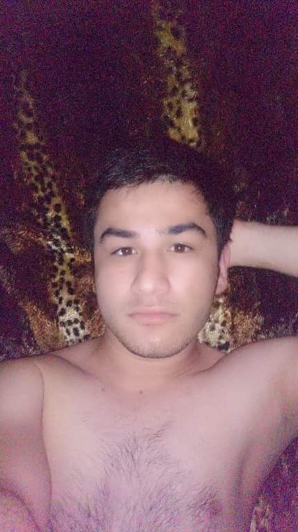  8711184  , 31 ,    -