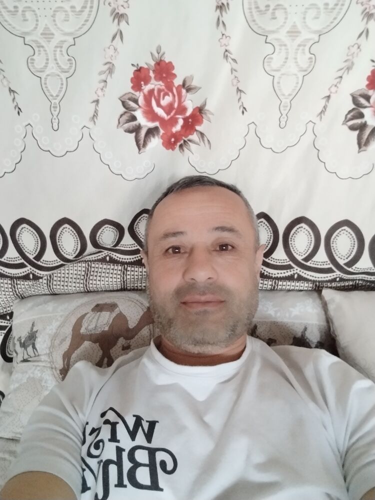  43939504  , 53 ,    