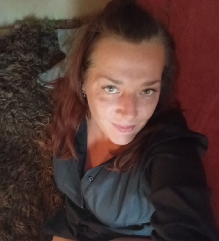  53342884  , 41 ,    