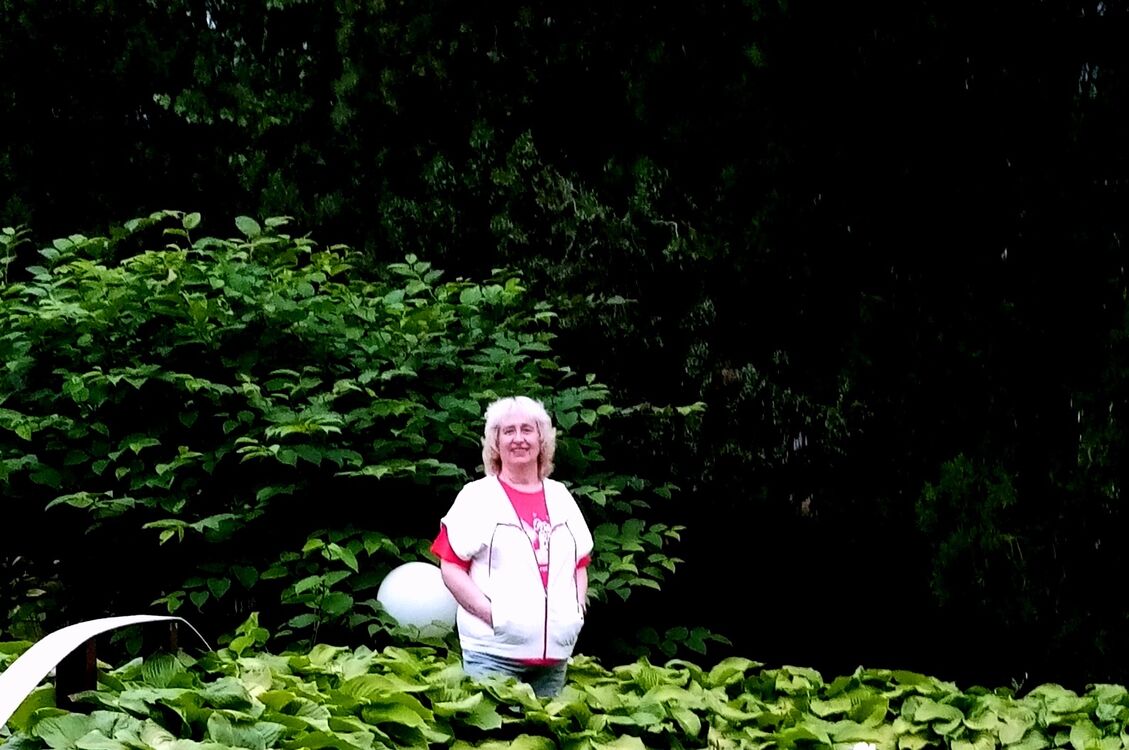 ���������� ������, ���� ������� ������, 59 ���, ������������ ��� ����� � ���������, c�������� ���������