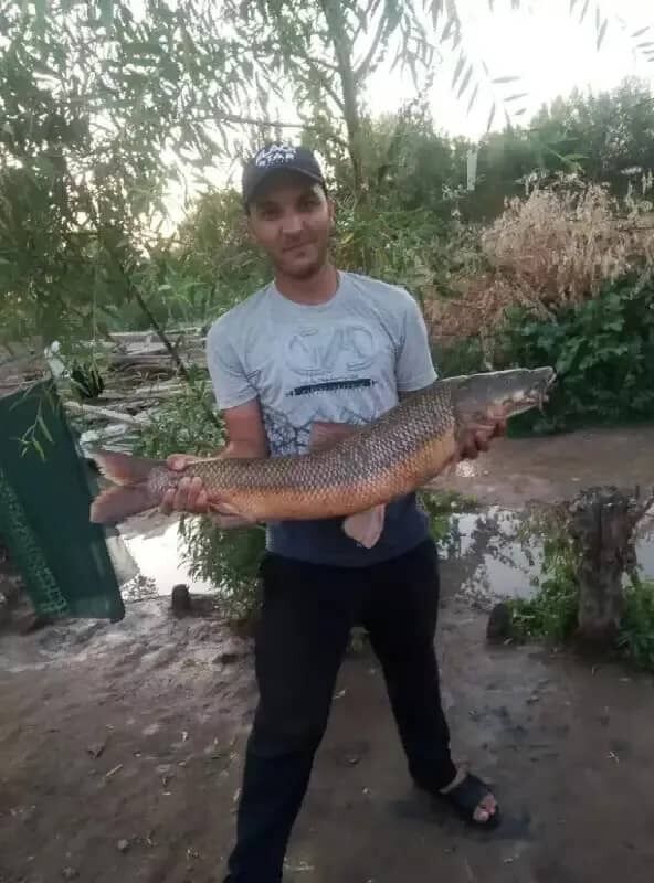 ���� 47644364 ������� ���������, 30 ���, ���� ���������� � �����