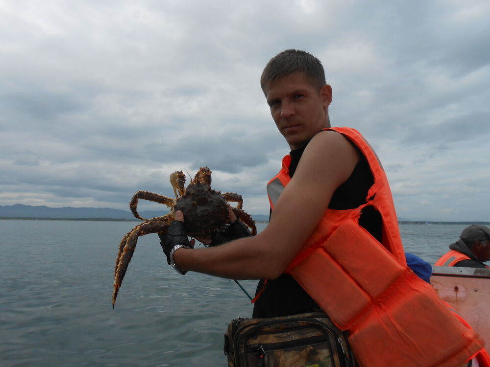 ���� 8375774 ������� �������, 39 ���, ���� ���������� � ����������