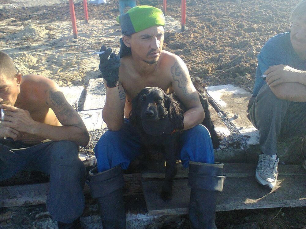  6602894  , 50 ,    -