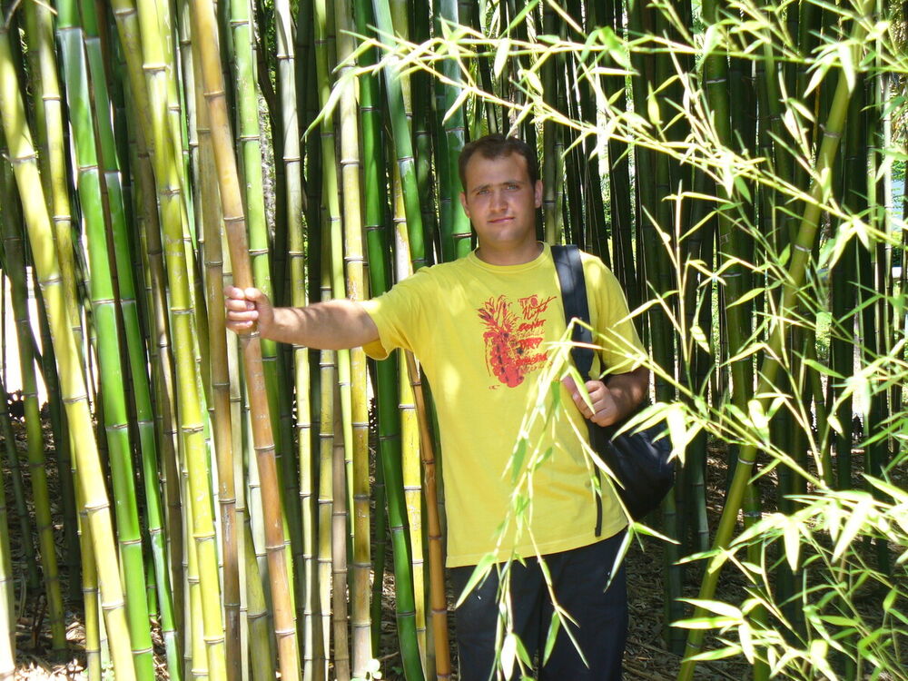 ���������� ��������, ���� ������� ����, 42 ����, ������������ ��� ������, ����� � ���������, c�������� ���������