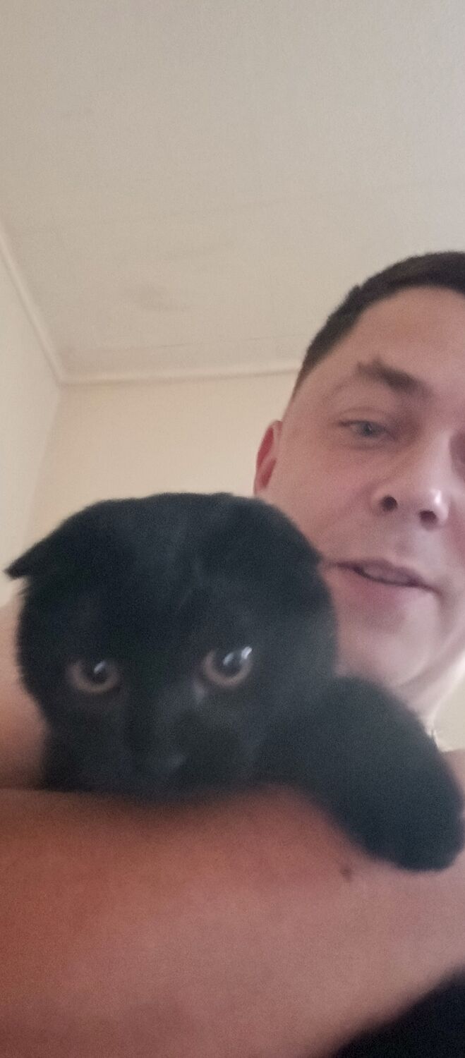 ���� 46380054 ������� �����, 36 ���, ���� ���������� � ������