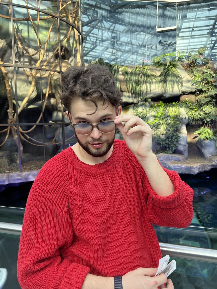 ���� 39359334 ����� �������, 24 ����, ���� ���������� � ������