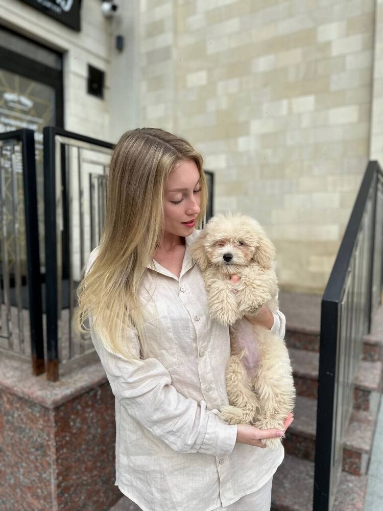 ���������� �����������, ���� ������� �����, 28 ���, ������������ ��� ������, ����� � ���������