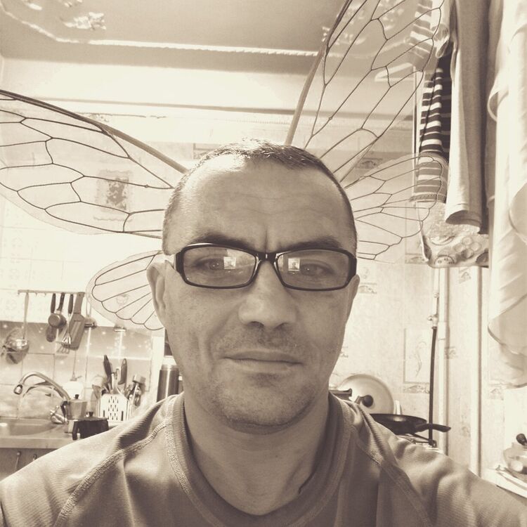 ���������� ����, ���� ������� �������, 54 ����, ������������ ��� ������, ����� � ���������, c�������� ���������