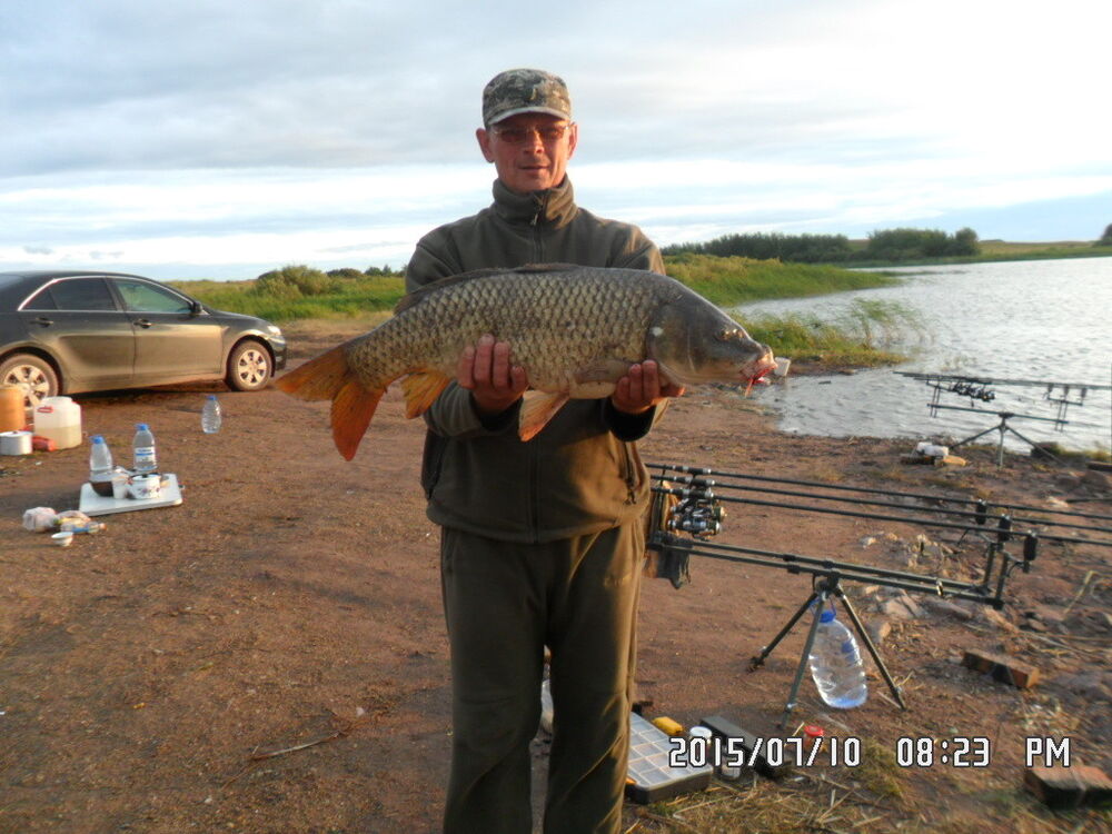 ���������� ������, ���� ������� �����, 55 ���, ������������ ��� ������, ����� � ���������, c�������� ���������