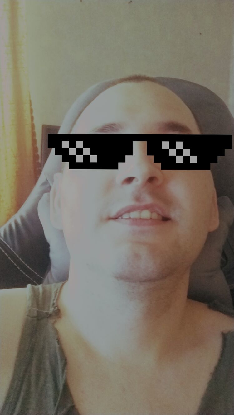  44590134  , 31 ,    