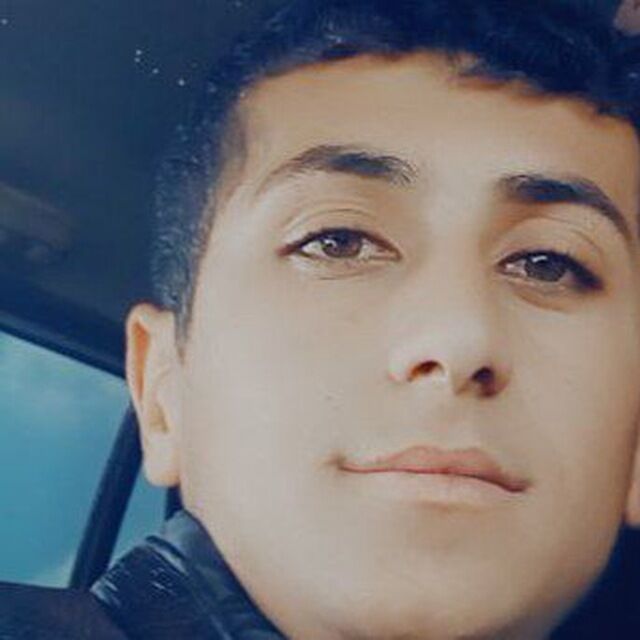  51349354  , 21 ,    