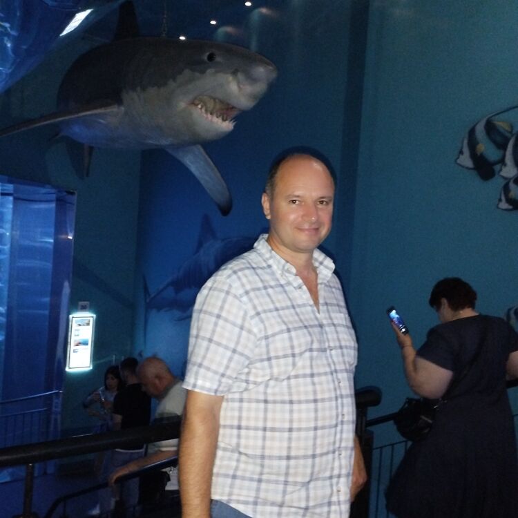 ���������� �����, ���� ������� ����, 55 ���, ������������ ��� ������