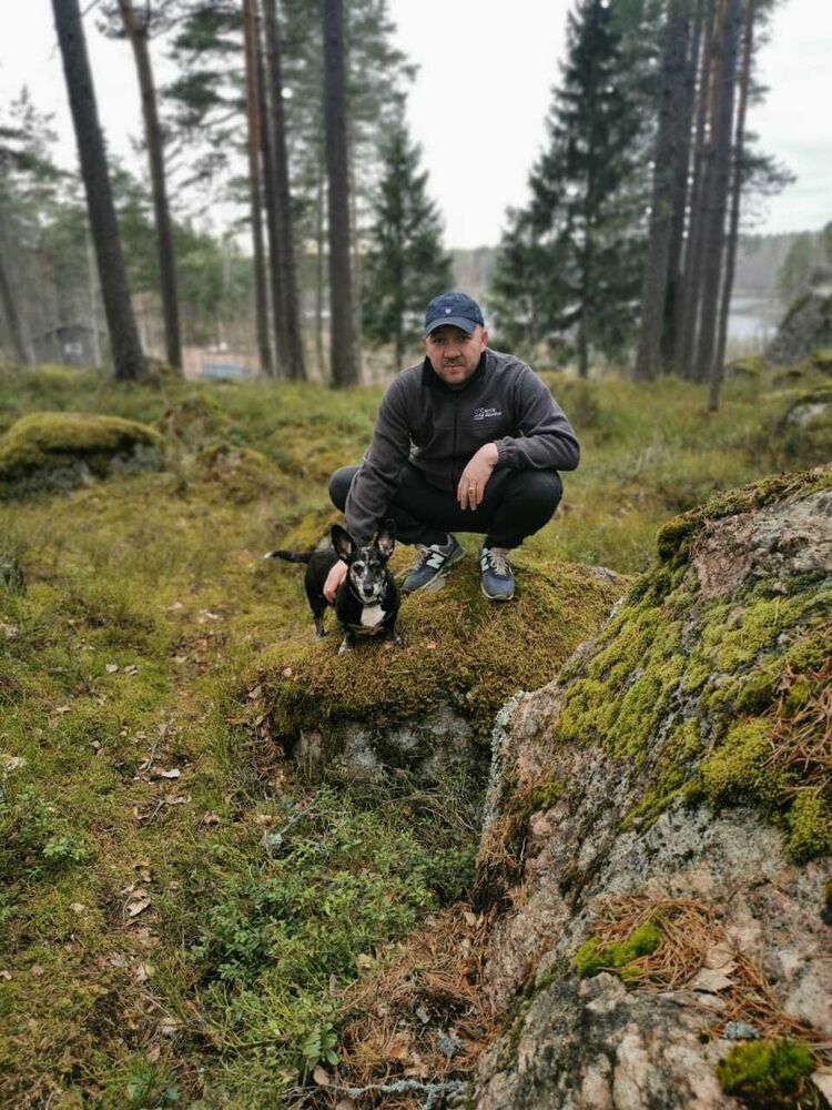  22767694  , 38 ,    -