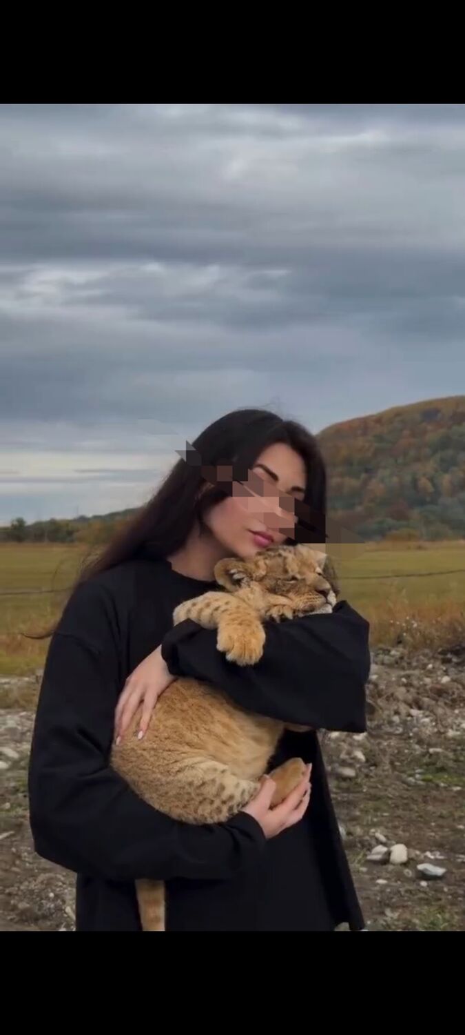 ���� 54565164 ������� ������, 35 ���, ���� ���������� � ������