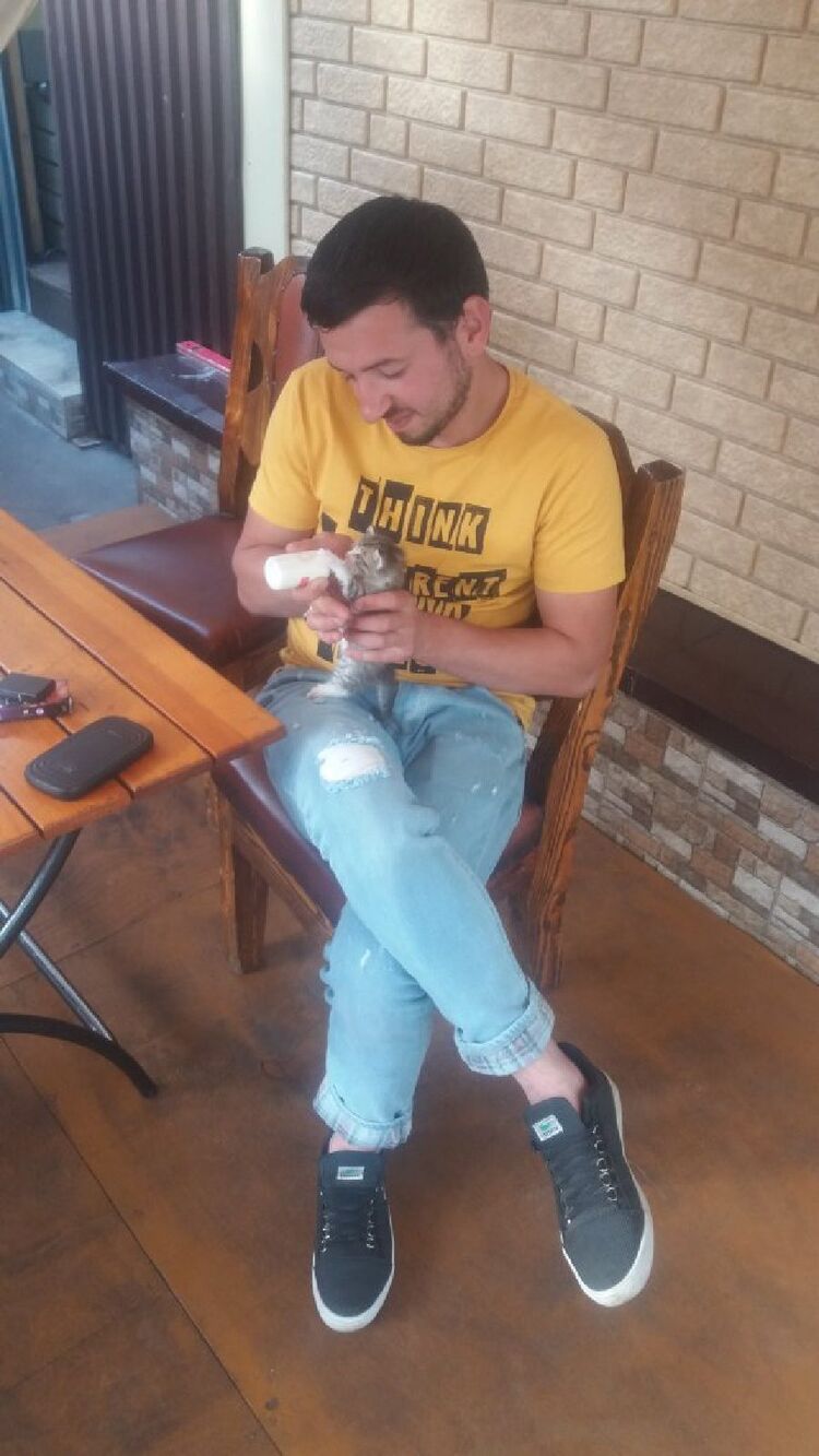 ���������� ������, ���� ������� ���, 32 ����, ������������ ��� ������, ����� � ���������