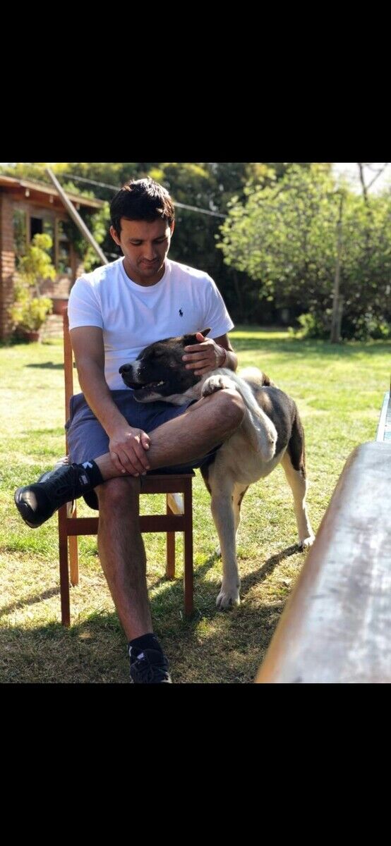 ���� 22503234 ������� ������, 38 ���, ���� ���������� � ��������