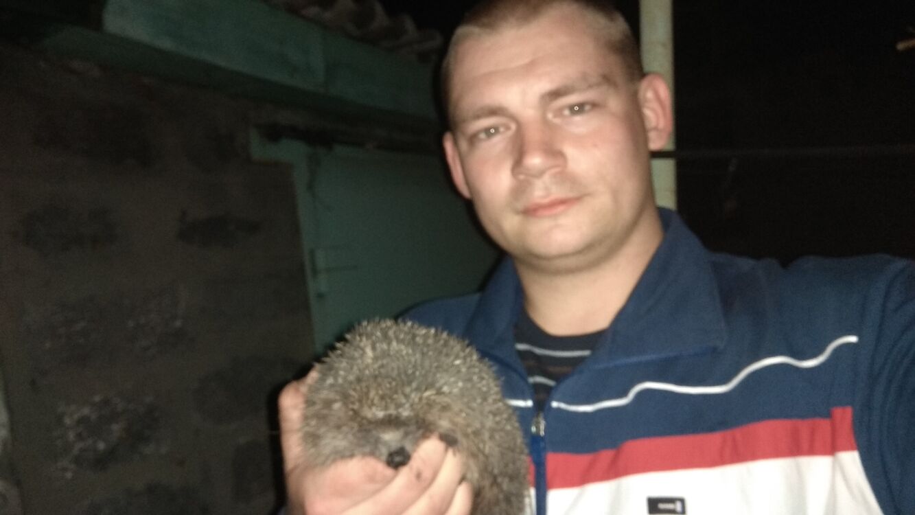 ���� 25531044 ������� ��������, 35 ���, ���� ���������� � �������