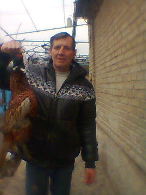  ,   , 52 ,   