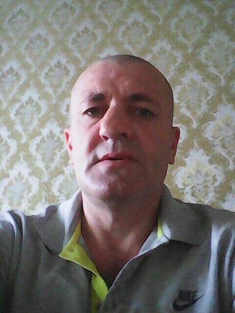  48869634  , 46 ,    