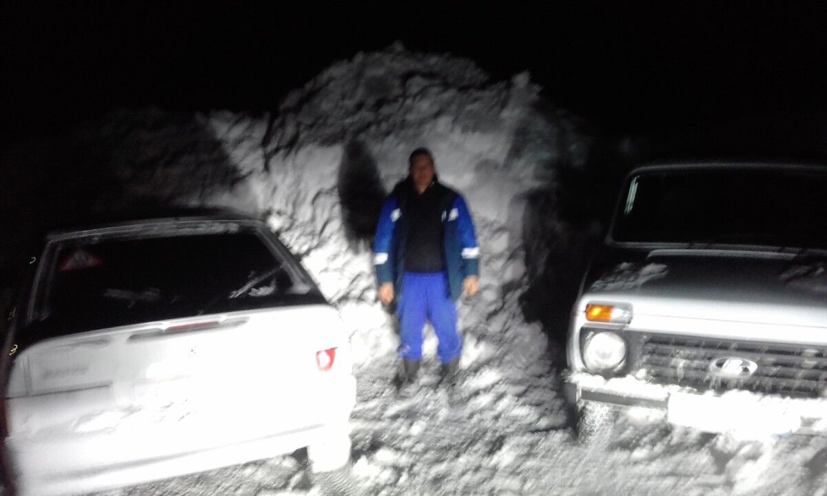 ���� 11858024 ������� ��������, 43 ����, ���� ���������� � ������