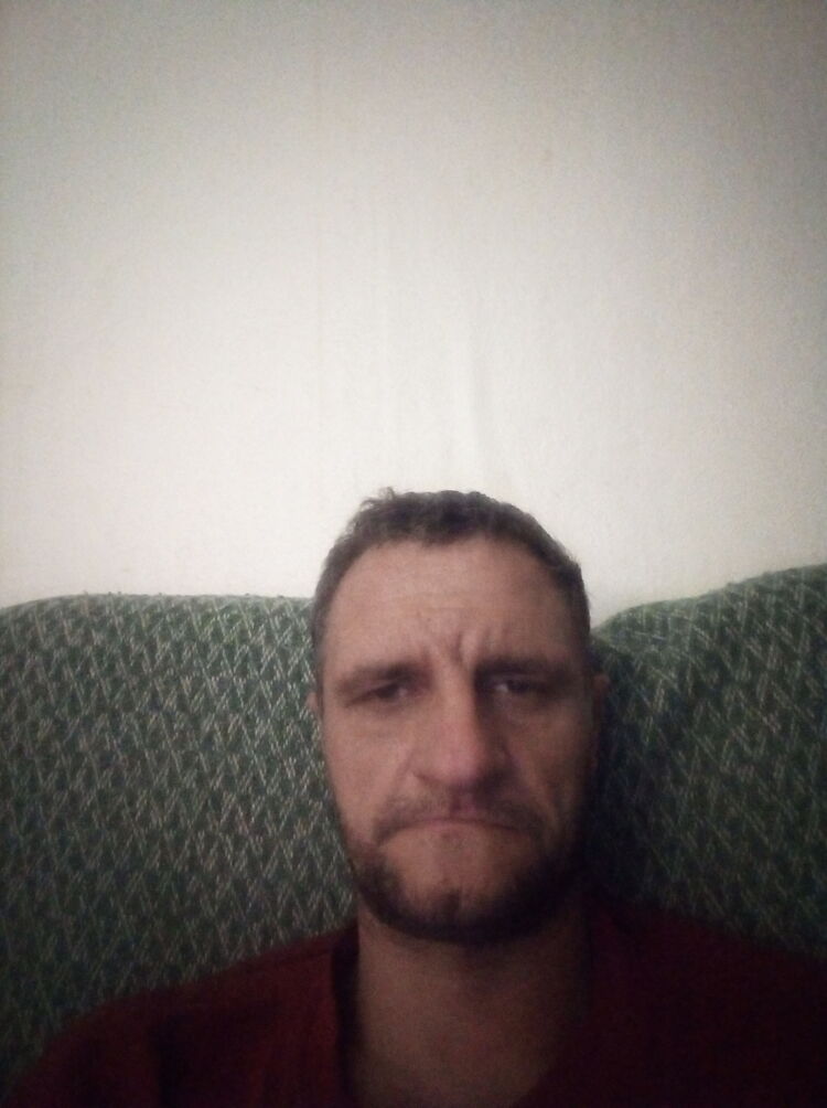  29438804  , 40 ,    