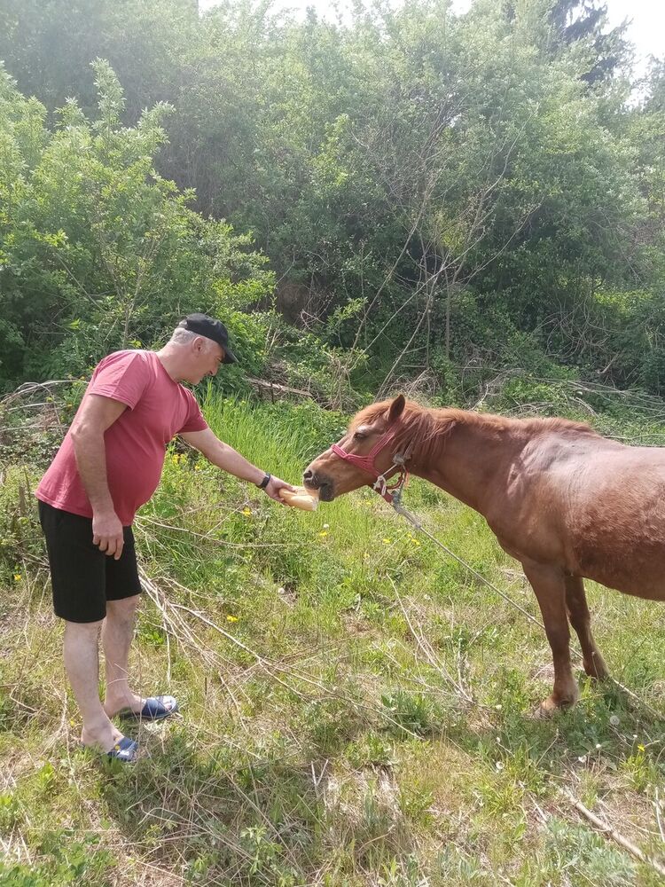  20830964  , 52 ,    Backa Topola