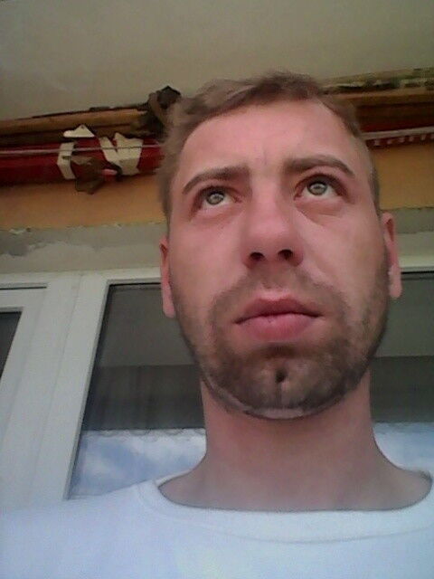   ,   , 40 ,   