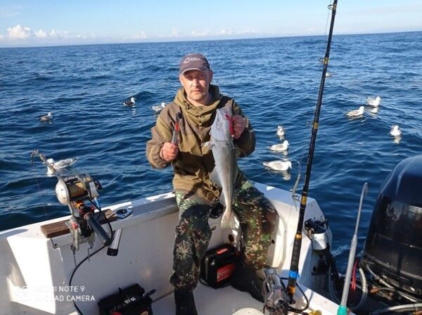 ���� 30864114 ������� ������, 44 ����, ���� ���������� � ����������