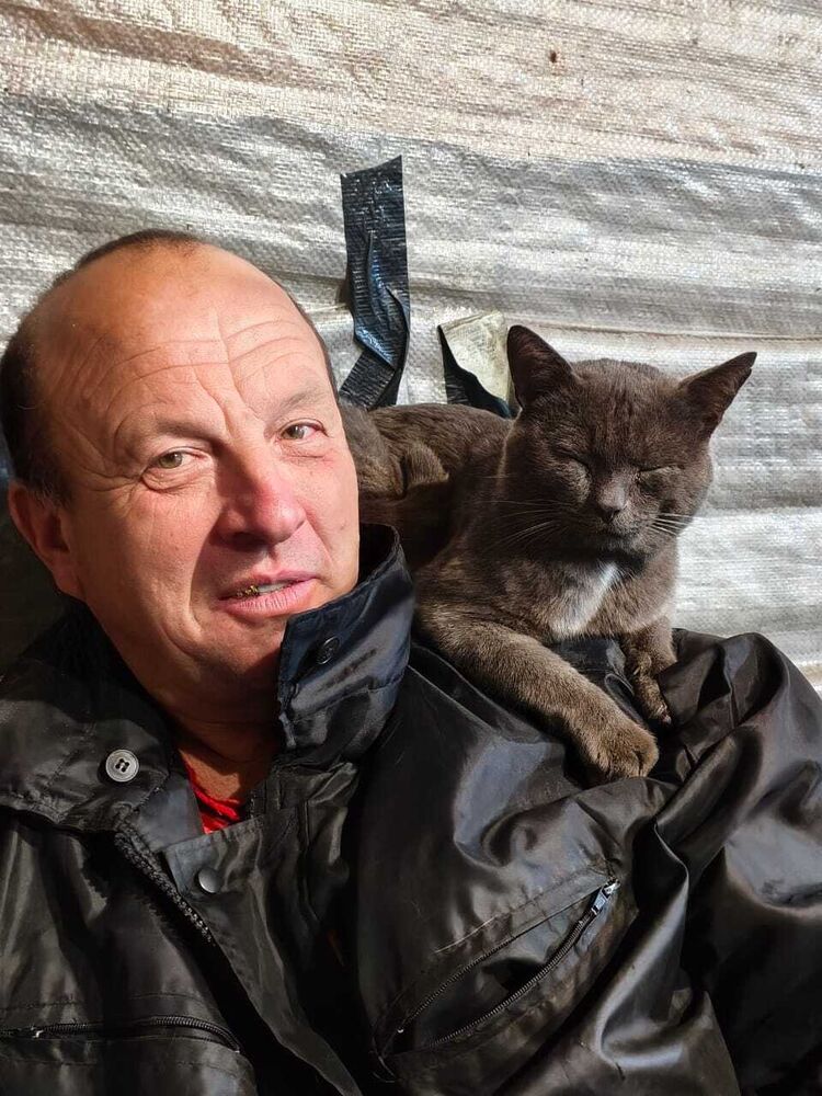 ���� 54853134 ������� �������, 56 ���, ���� ���������� � ����