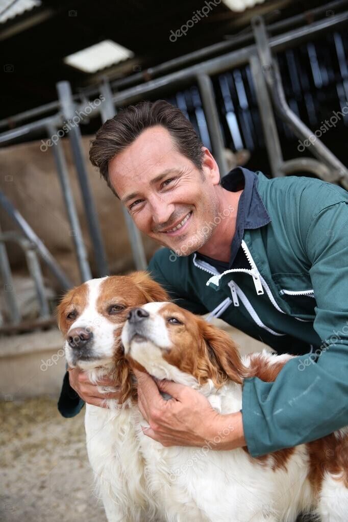 ���������� ������, ���� ������� ������, 49 ���, ������������ ��� ������, ����� � ���������, c�������� ���������