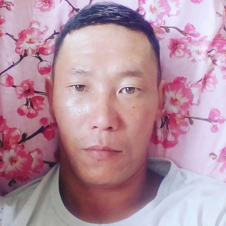  52217764  , 36 ,    -