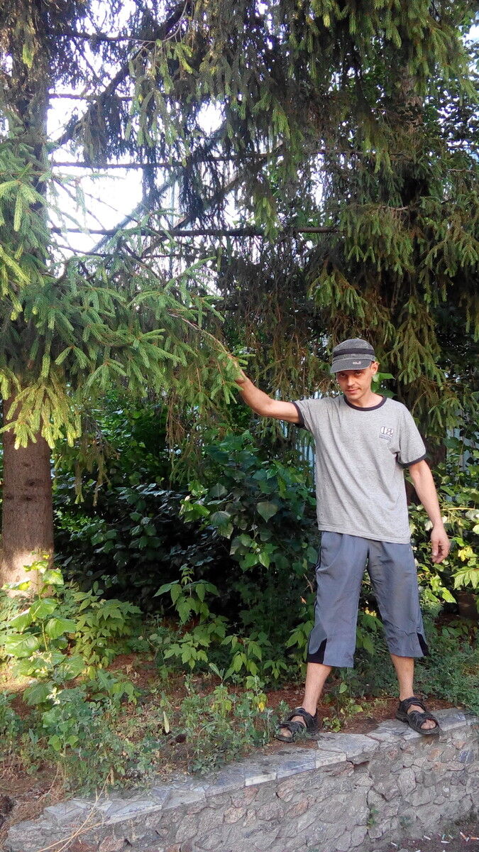 ���������� �������, ���� ������� ����, 36 ���, ������������ ��� ����� � ���������, c�������� ���������