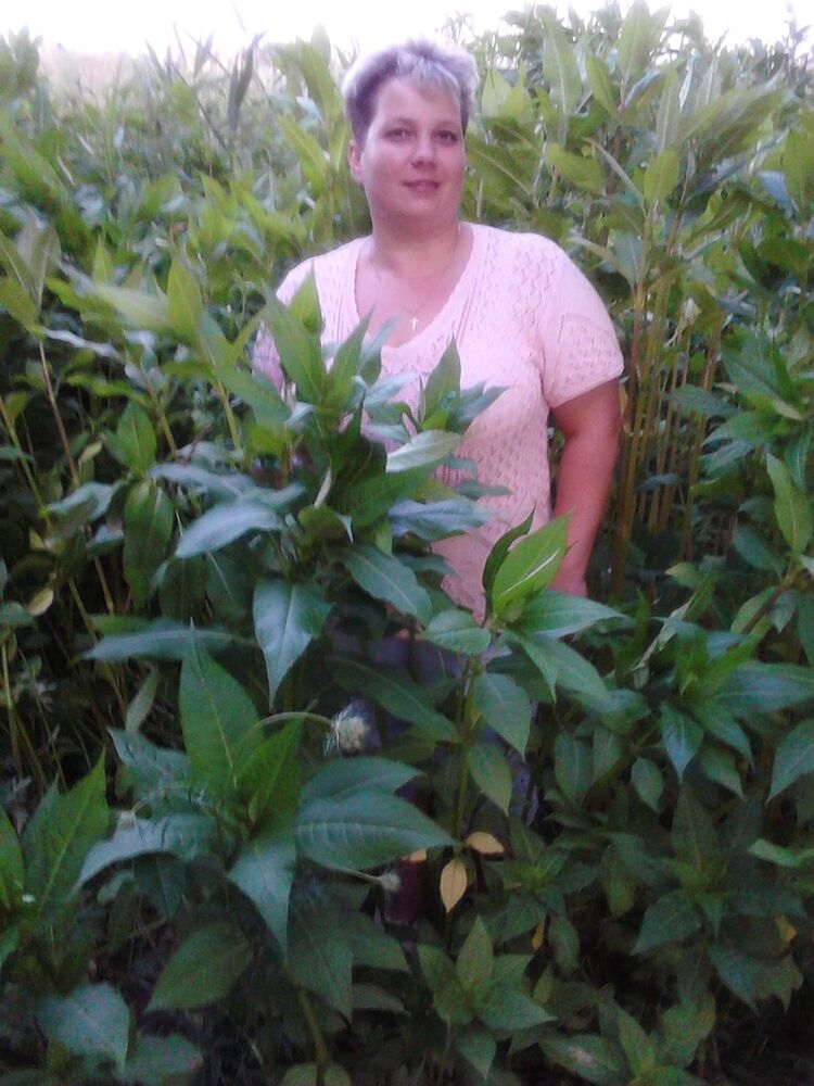 ���������� ������, ���� ������� �������, 49 ���, ������������ ��� ������, ����� � ���������, c�������� ���������