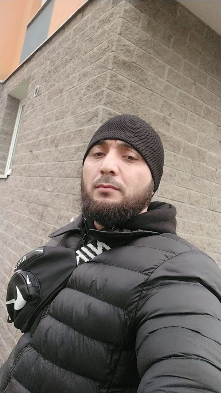  31336364  , 41 ,    -