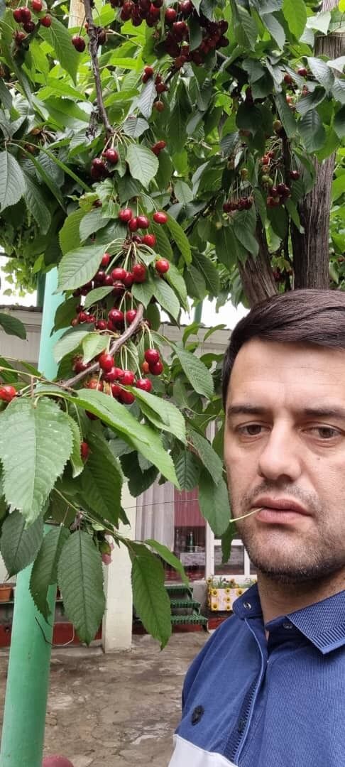 ���������� ����-���������, ���� ������� ����� ����, 41 ���, ������������ ��� ������, ����� � ���������