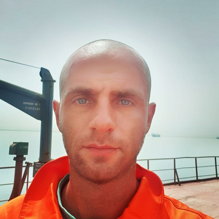  34169884  , 37 ,    