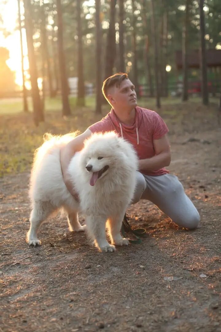 ���������� ��������, ���� ������� ����, 38 ���, ������������ ��� ������, ����� � ���������, c�������� ���������