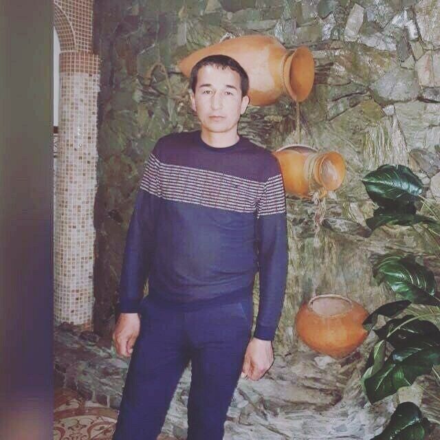  24905314  , 46 ,    